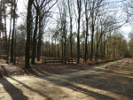 Wildernis